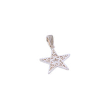 Load image into Gallery viewer, Southern Gates® Star Spangled Star Pendant